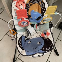 Baby Bouncer