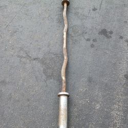 Olympic Curl Bar