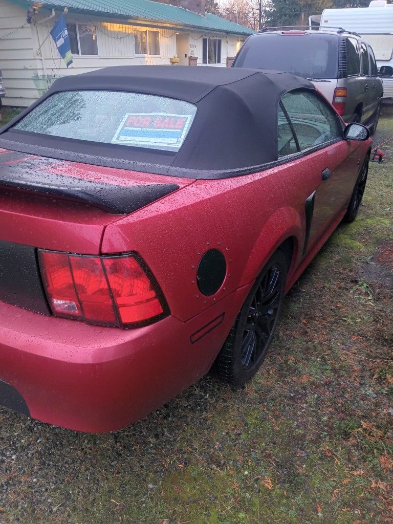 2000 Ford Mustang