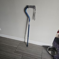 Cane Like New