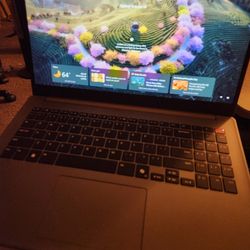 LG Gram Laptop 