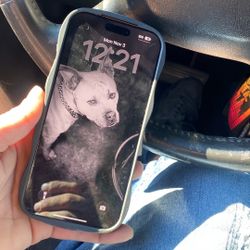 iPhone 17 Pro Max  $1200