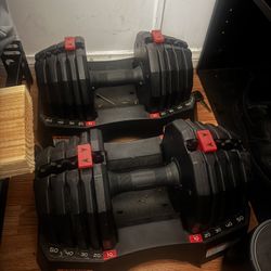 Weider Weights 