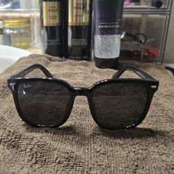 Rayban Polarized Sunglasses RB4401D