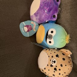 SQUISHMALLOWS - Tags 