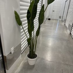 Fake Plants