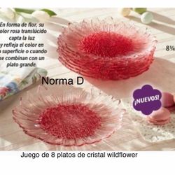 Set De 8 Platos Wildflower De Cristal Nuevos  En Su Caja 🌺 Princess House 🌺 