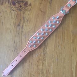 XXS Orange Spiked Pet Collar – NEW