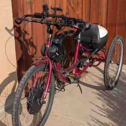 Schwinn Meridian Adult Trike Electric Conversion With Five Speed Gearing 
