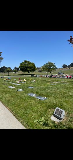 Cemetery Cremation plot for one or two.