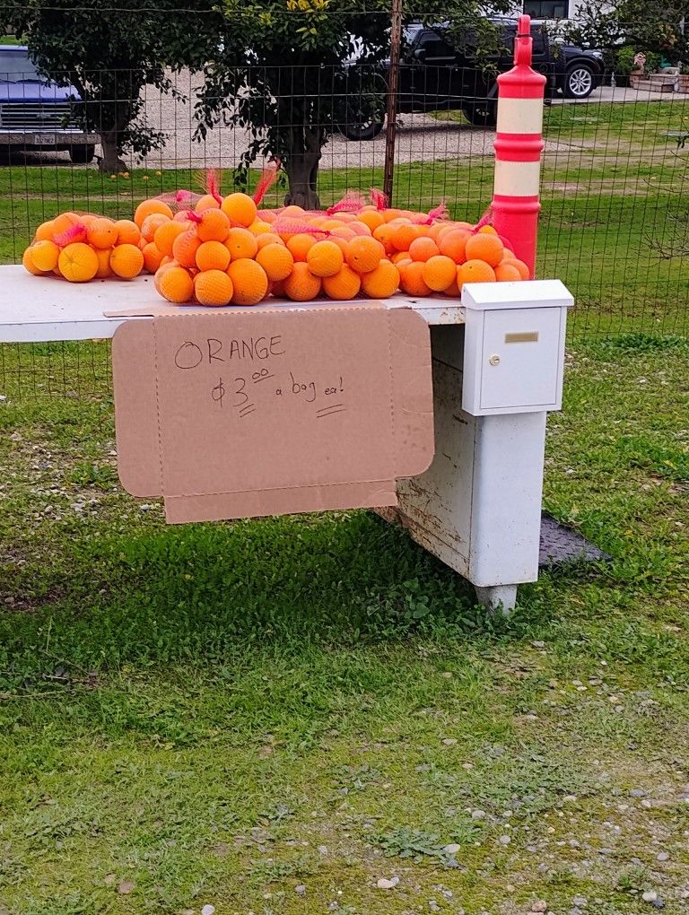 Organic Oranges $3.00 EA Bag