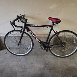 Schwinn Bike + Stationary Set Up + Car Rack