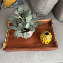 Tray for Decor