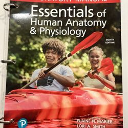 Essentials of Human Anatomy and Physiology 