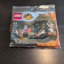 30390 Dinosaur Market 