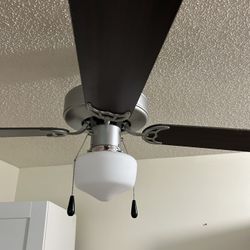 Ceiling fan