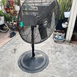 Fan