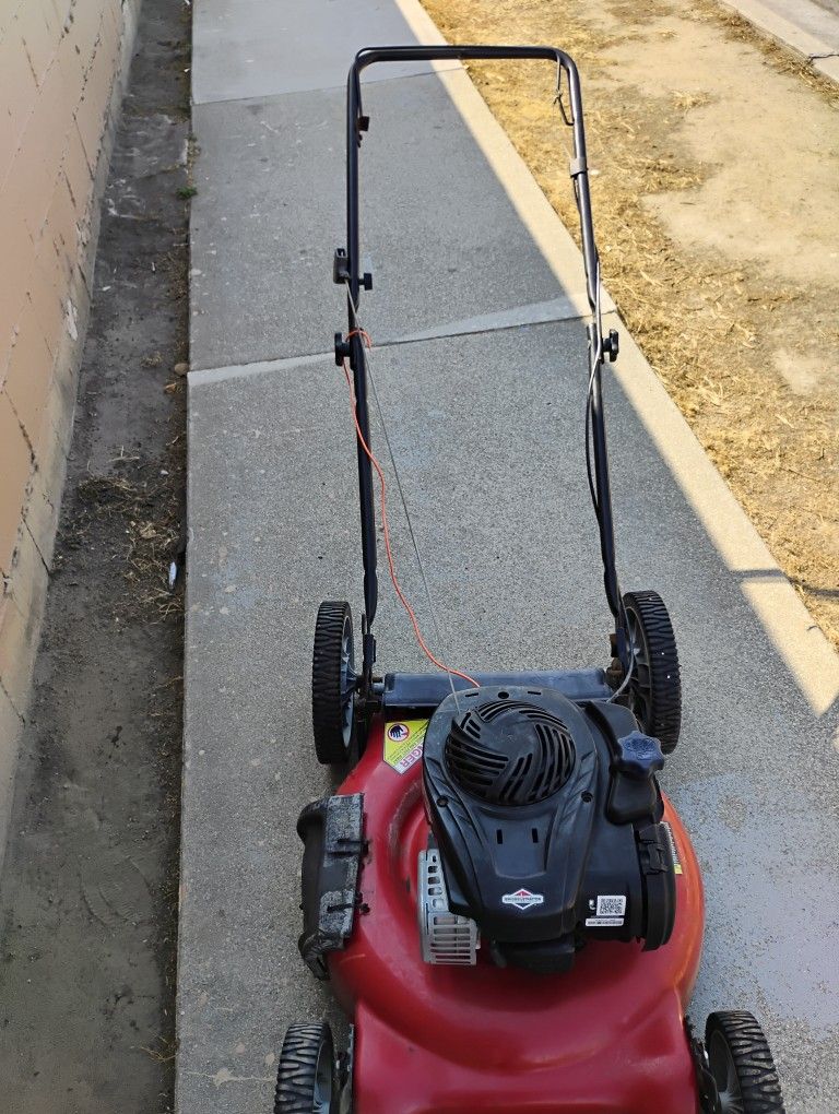 Caladito Primo