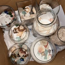 Seashell Centerpieces 