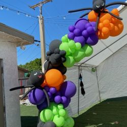 Balloon Setups 