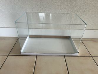 10 gallon curved edge tank