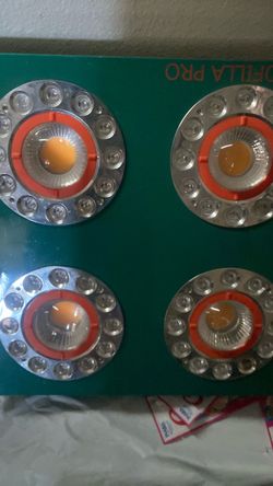 LED cob grow light