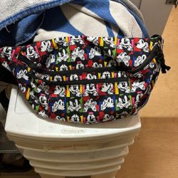 Large Disney 2 Pocket Fanny Pack