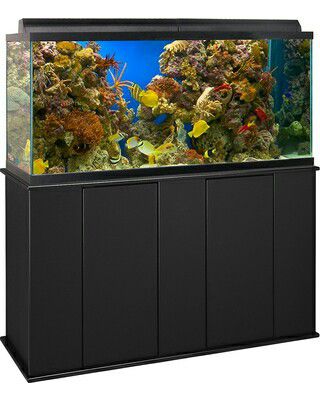 90 gallon aquarium setup lid tank stand