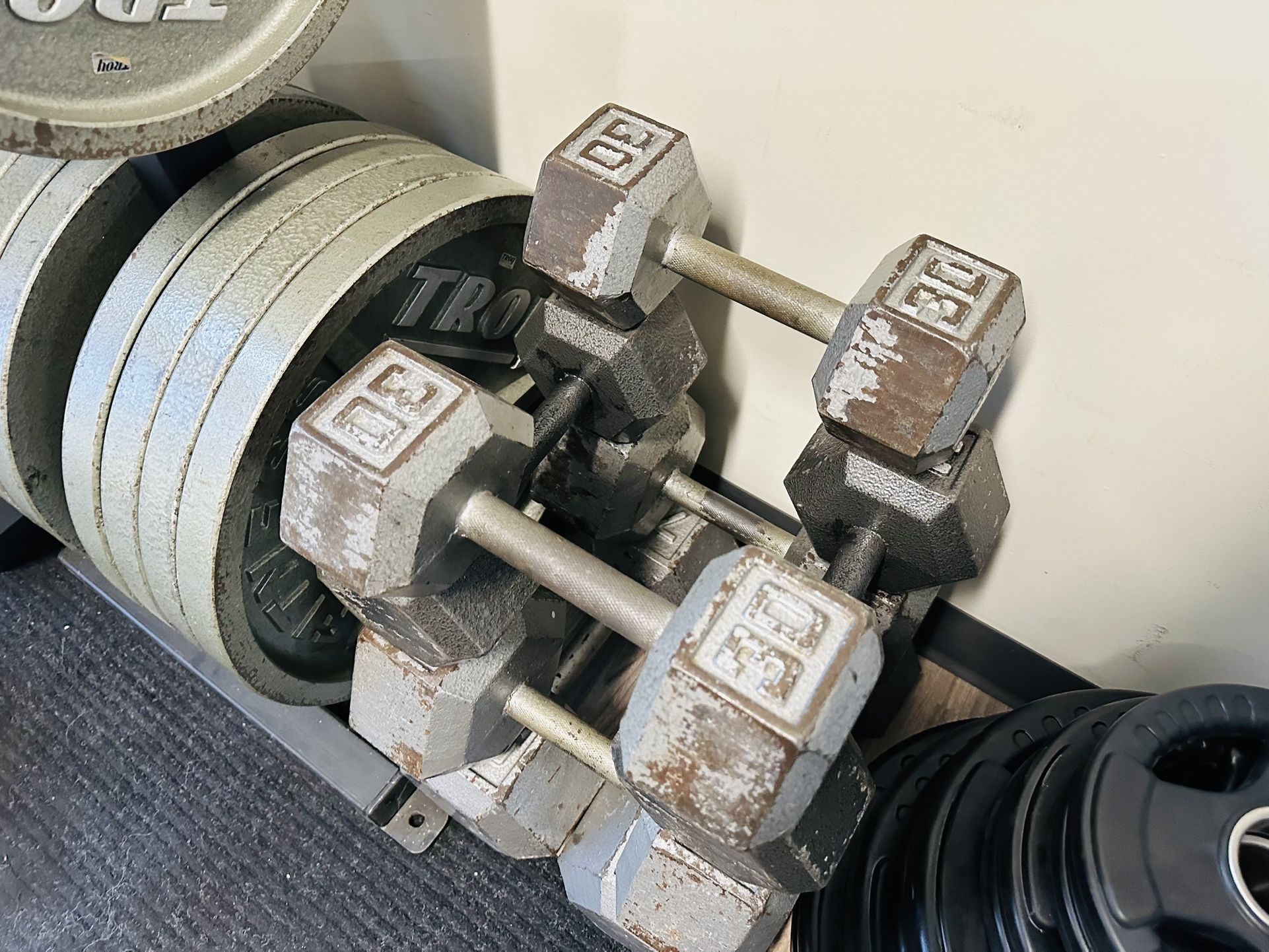 30lbs Hex Dumbbells - Workout - Gym Equipment
