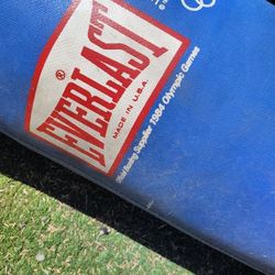 Everlast Punching Bag 
