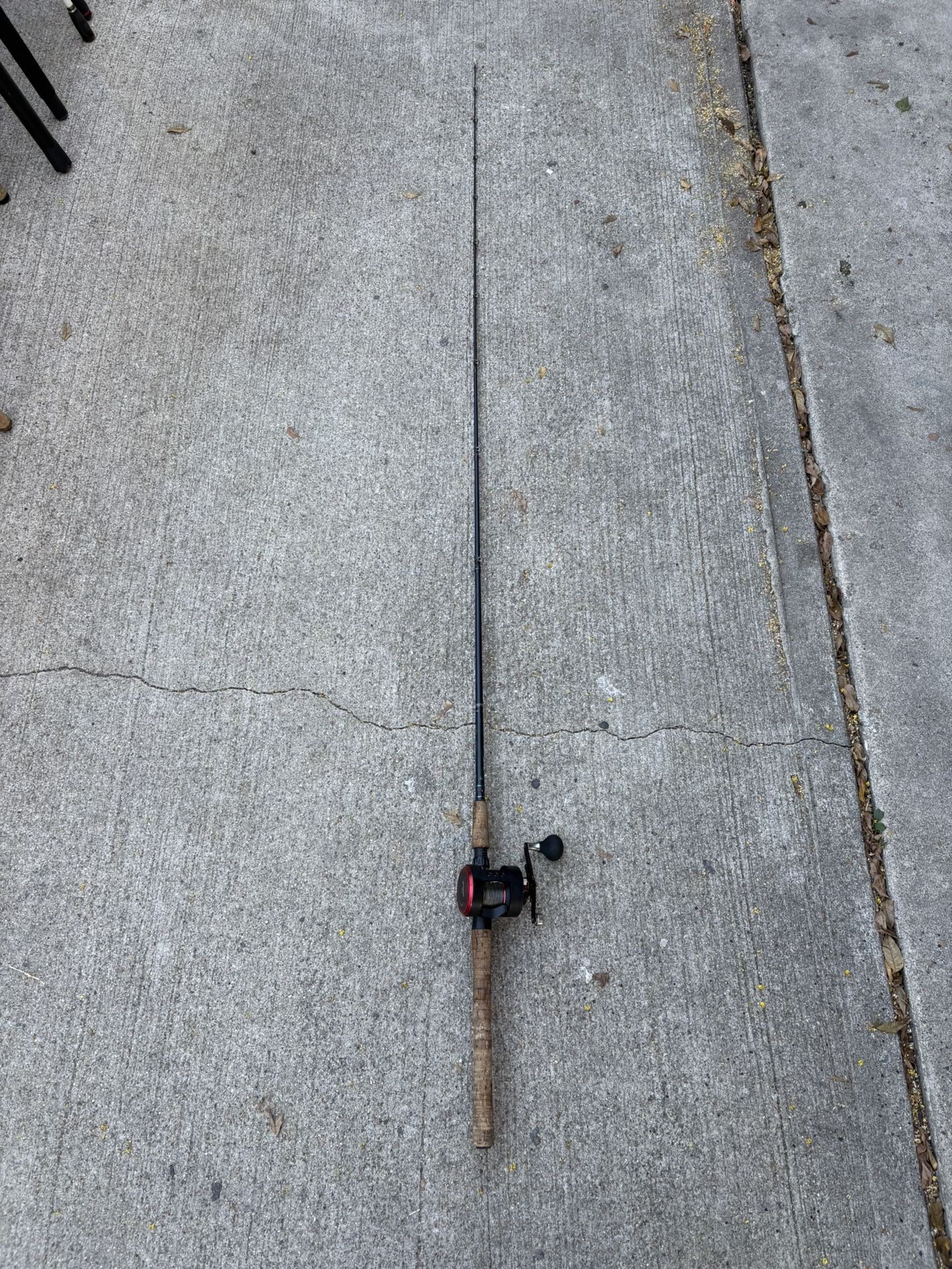 Fishing’s rod and reel
