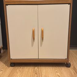 Vintage 2 Door Mobile Cabinet $50