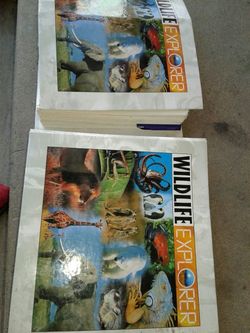 Wildlife explorer
