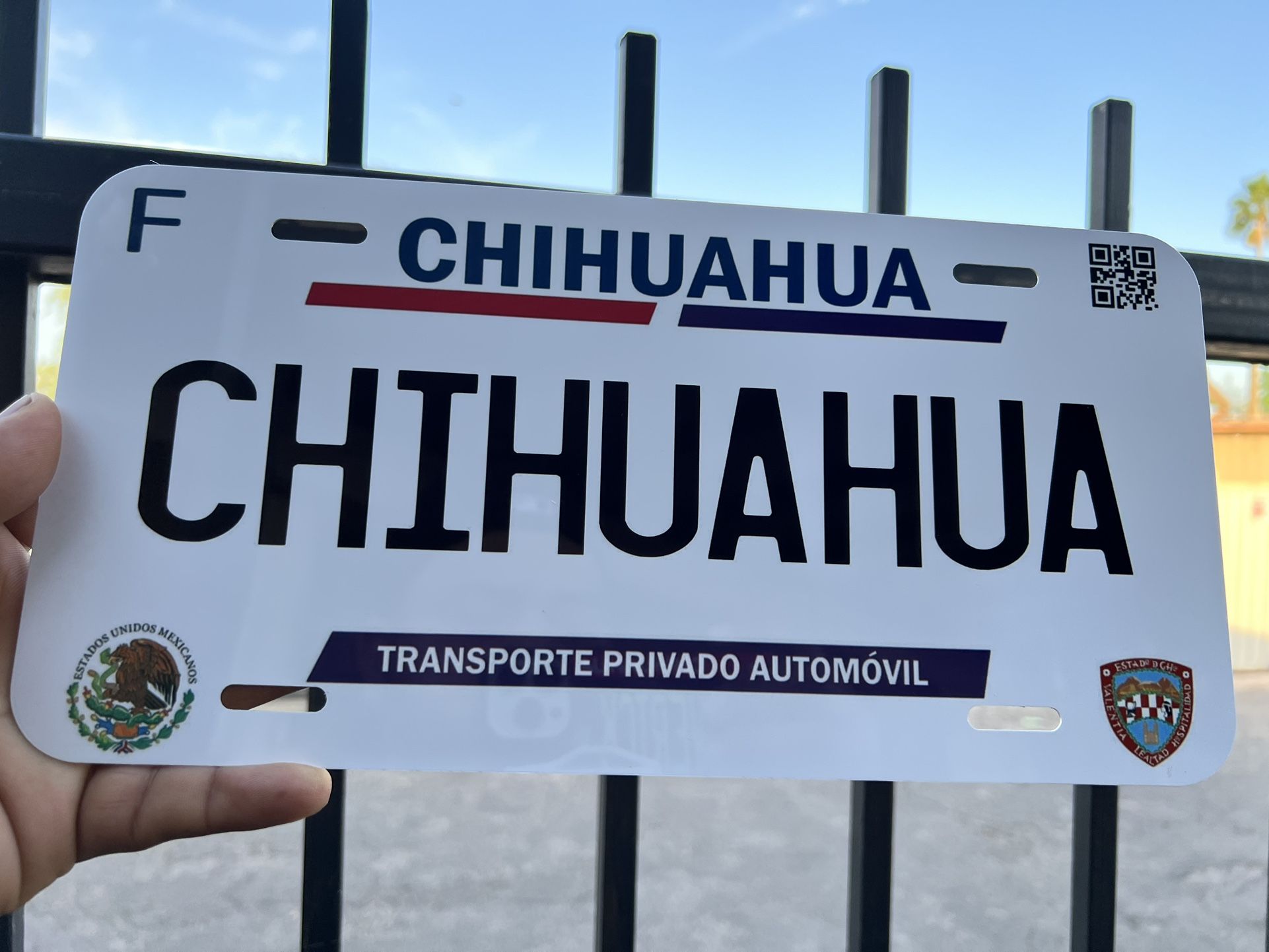 Chihuahua