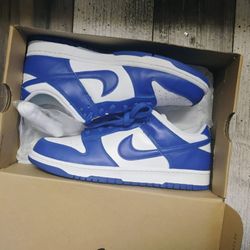 Nike Dunks Ds Never Used 