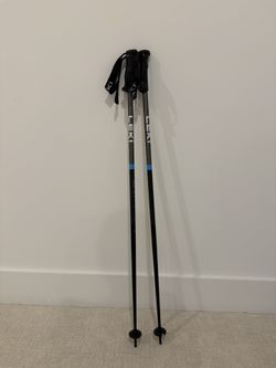 Leki QNTM Ski Poles