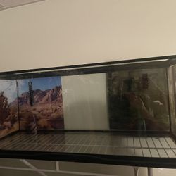 Reptile Tank