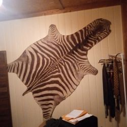 African Zebra Skin