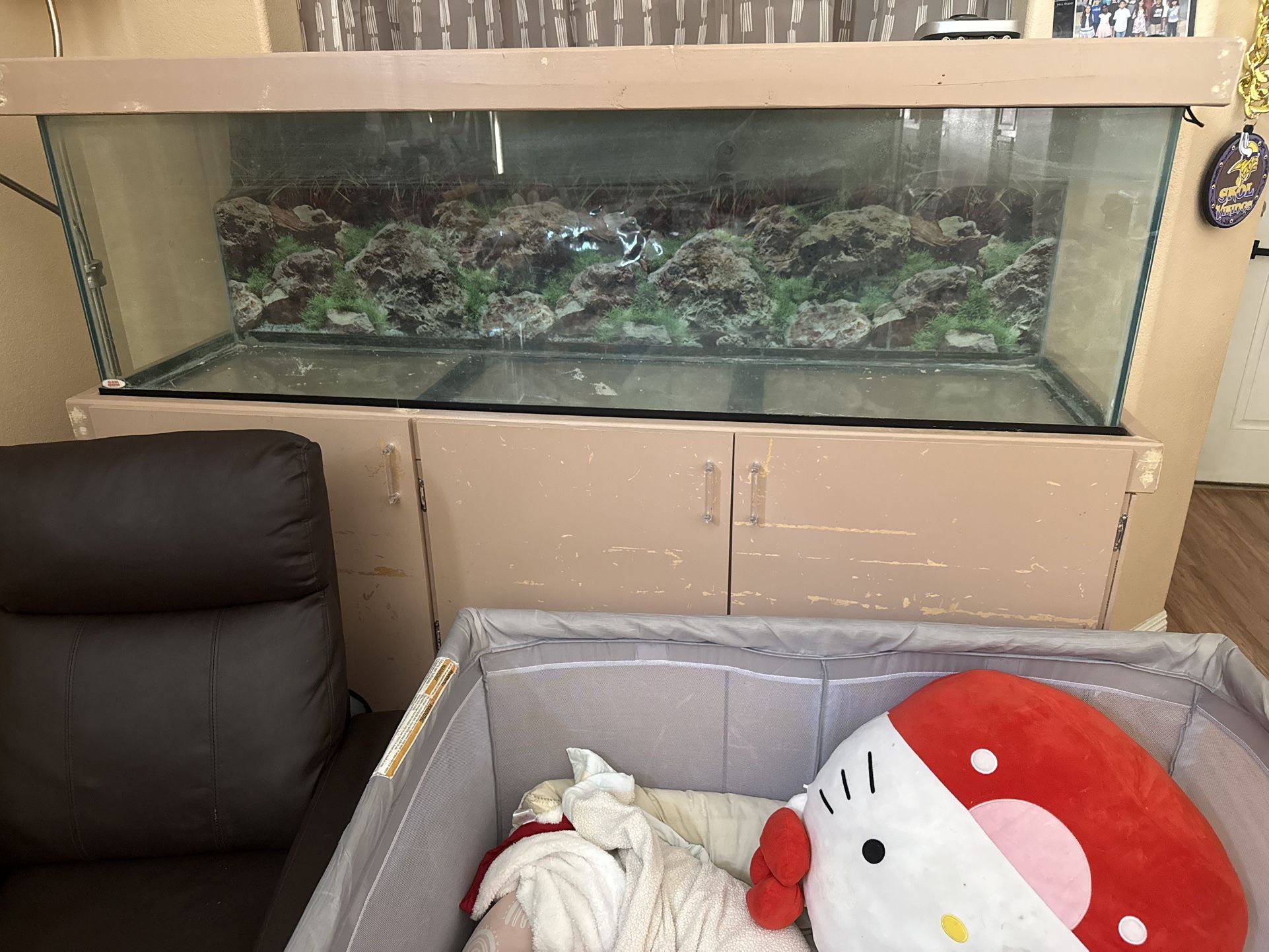 135 Gallon Fish Tank With Stand