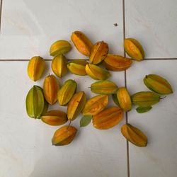 Organic Star Fruits 
0.50 Each