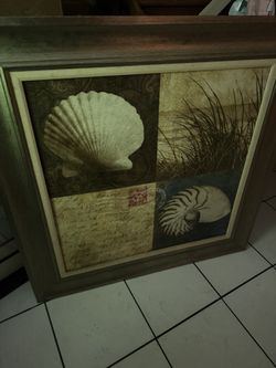 Seashell Decor Painting 