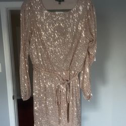 Size L Mini Dress