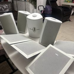 Outdoor And Indoor Speaker 