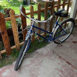 Montgomery Ward Beach Cruiser Women Bike