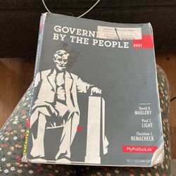 Government By The People 
