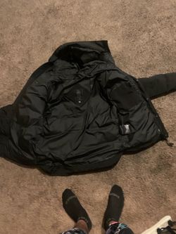 Canada goose