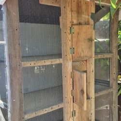 Bird Cage