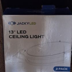 13" LED Ceiling Light