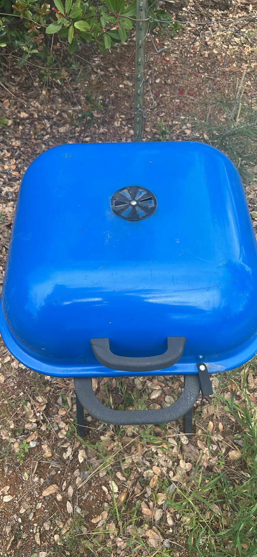 Bbq Pit