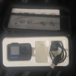 Gopro 10